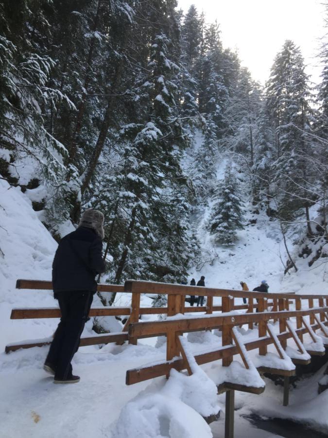 Рукавичка Yaremche Exterior foto