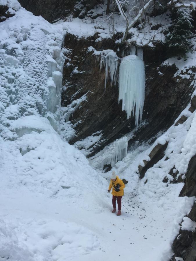 Рукавичка Yaremche Exterior foto